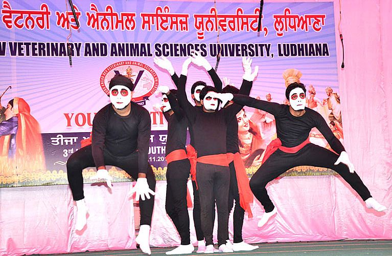 Mime event in Youth Festival 2012